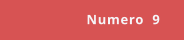 Numero  9