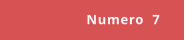 Numero  7