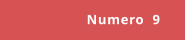 Numero  9