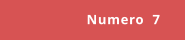 Numero  7
