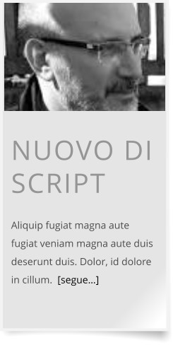 NUOVO DI SCRIPT  Aliquip fugiat magna aute fugiat veniam magna aute duis deserunt duis. Dolor, id dolore in cillum.  [segue…]