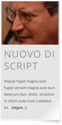 NUOVO DI SCRIPT  Aliquip fugiat magna aute fugiat veniam magna aute duis deserunt duis. Dolor, id dolore in cillum aute irure cupidatat ea.   [segue…]