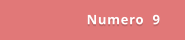 Numero  9