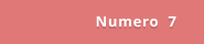 Numero  7
