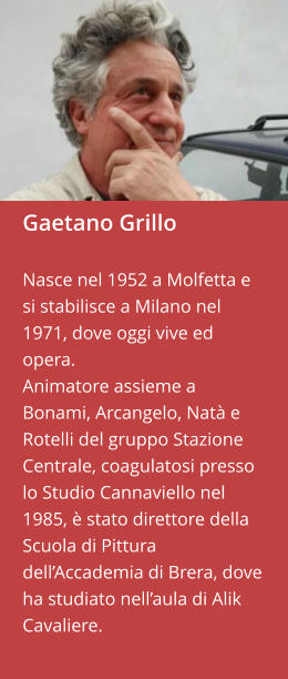 Gaetano Grillo  Nasce nel 1952 a Molfetta e si stabilisce a Milano nel 1971, dove oggi vive ed opera. Animatore assieme a Bonami, Arcangelo, Natà e Rotelli del gruppo Stazione Centrale, coagulatosi presso lo Studio Cannaviello nel 1985, è stato direttore della Scuola di Pittura dell’Accademia di Brera, dove ha studiato nell’aula di Alik Cavaliere.
